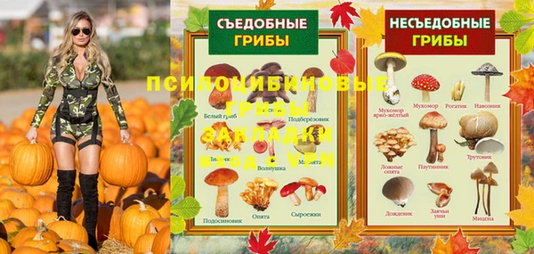 эйфоретик Балахна