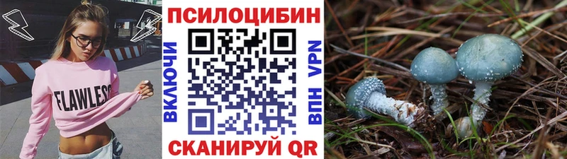 Галлюциногенные грибы прущие грибы  наркотики  Канск 